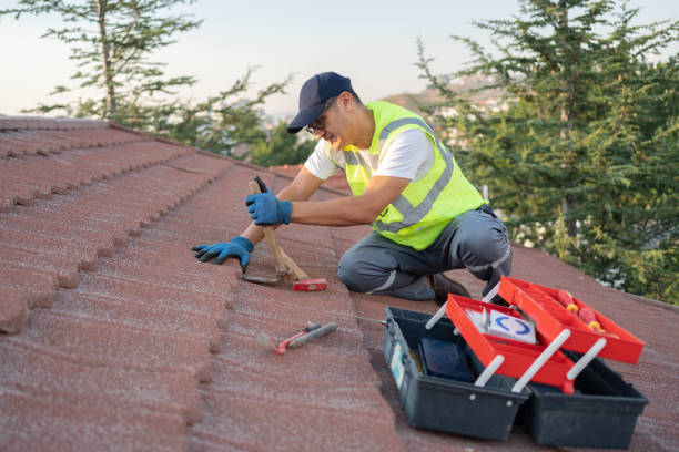 Best Shingle Roofing Installation  in Fort Totten, ND